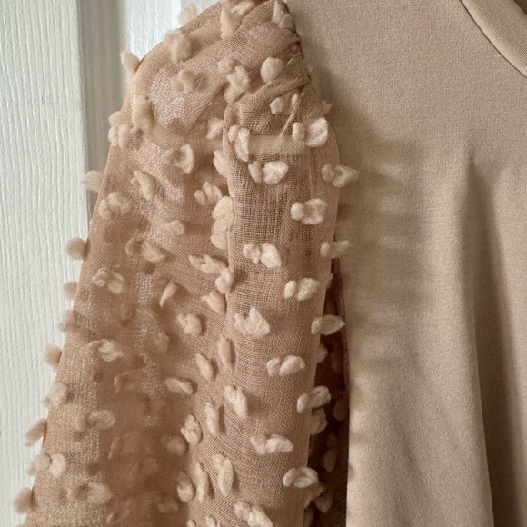 Mittoshop Unique Top, S, Round Neck, Slipover, Sheer Sleeves NWOT - Picture 4 of 7